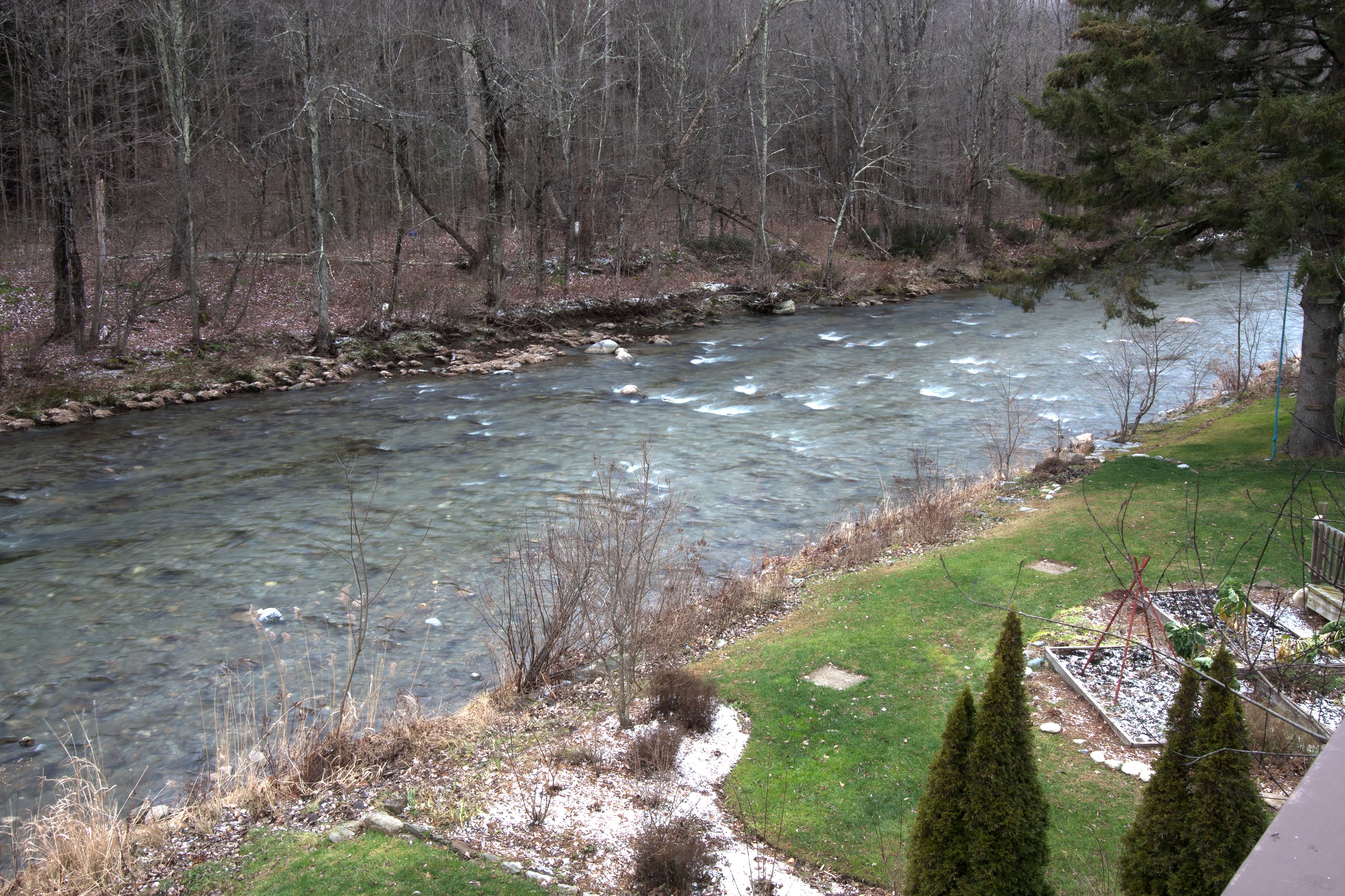 A shallow, flowing river with ripples, bordered by a grassy bank with small evergreen trees on one side and a dense forest of bare trees on the other.