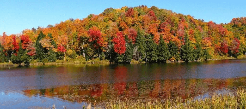 A serene lake reflects a vibrant, multi-colored forest in autumn.