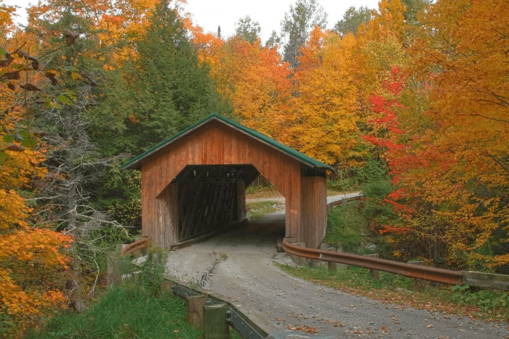 A rustic covered bridge surrounded by vibrant autumn foliage.