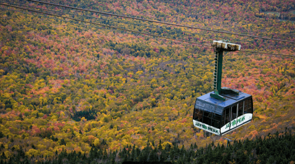 A gondola glides above a vibrant, colorful forest landscape.