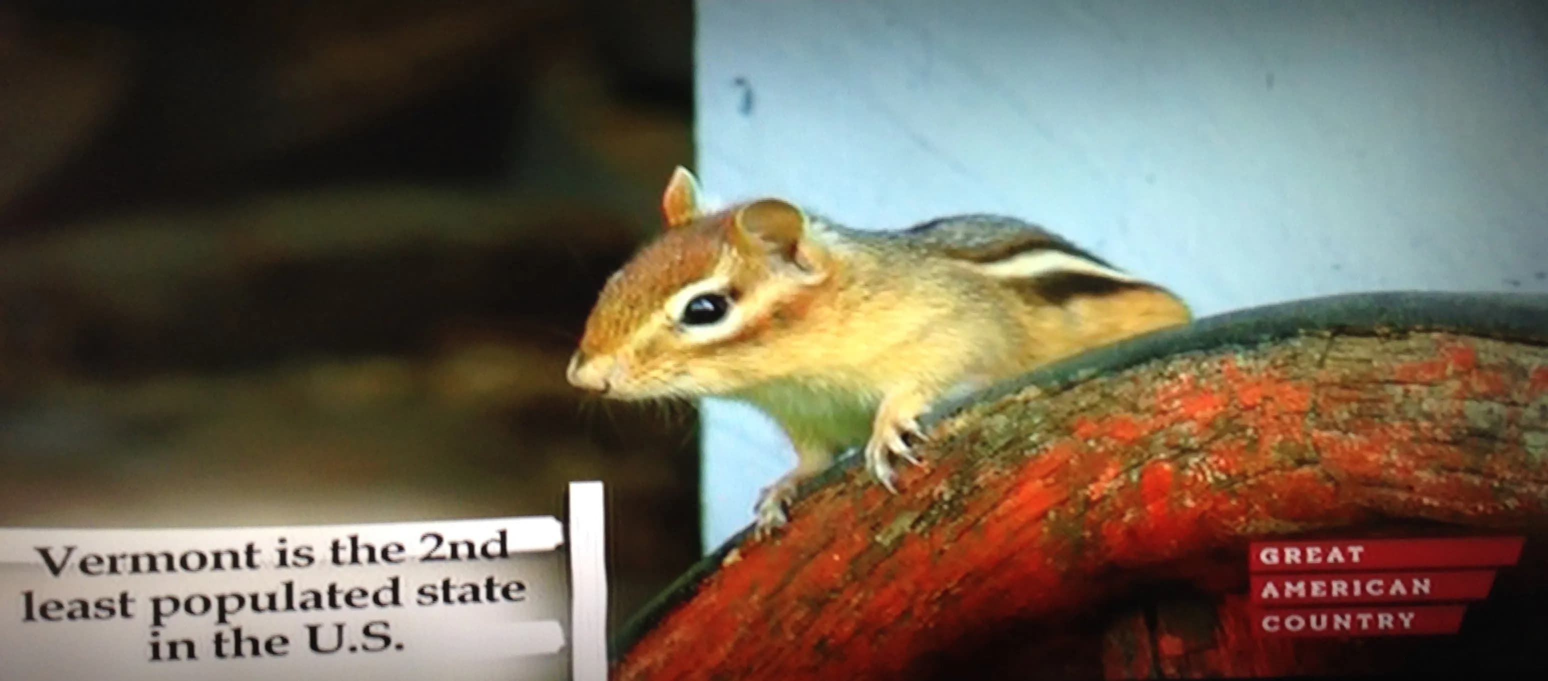 A chipmunk perched on a log with text stating, "Vermont is the 2nd least populated state in the U.S."