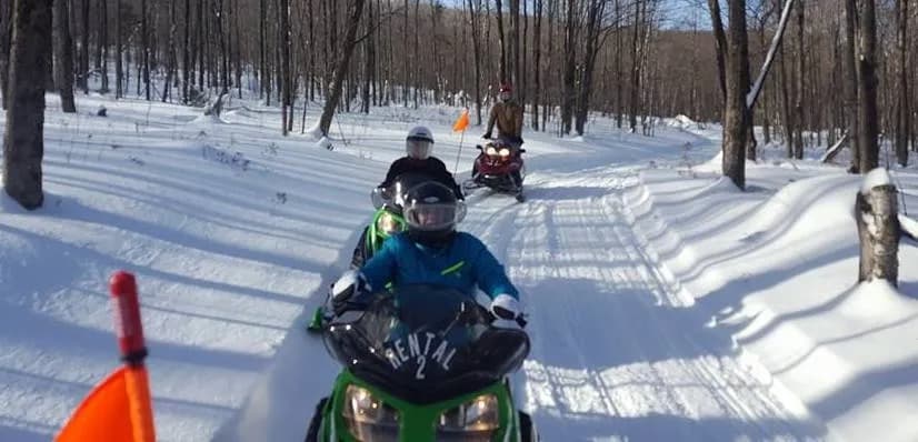 Two snowmobiles navigate a snowy trail surrounded by trees.