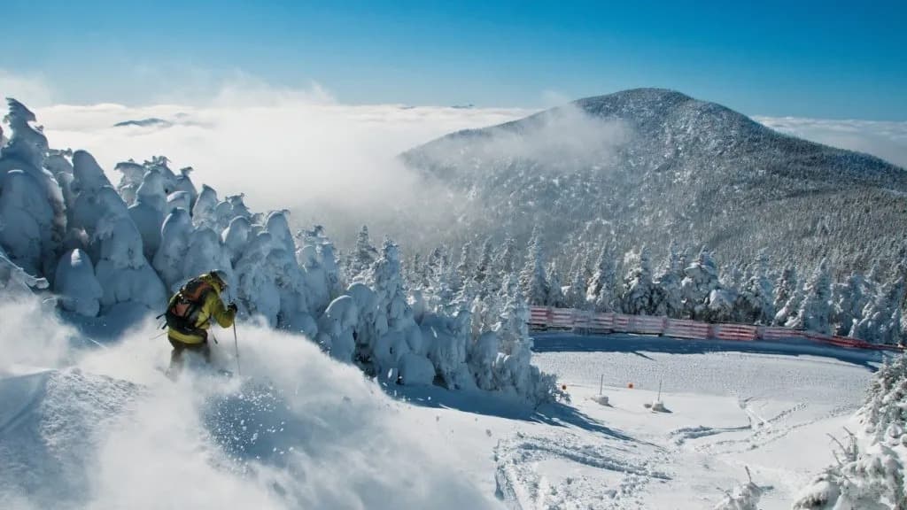 A skier carves through fresh snow with snow-covered trees and mountains in the background. A skier carves through fresh snow with snow-covered trees and mountains in the background.